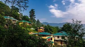 pexels-julia-volk-6576294